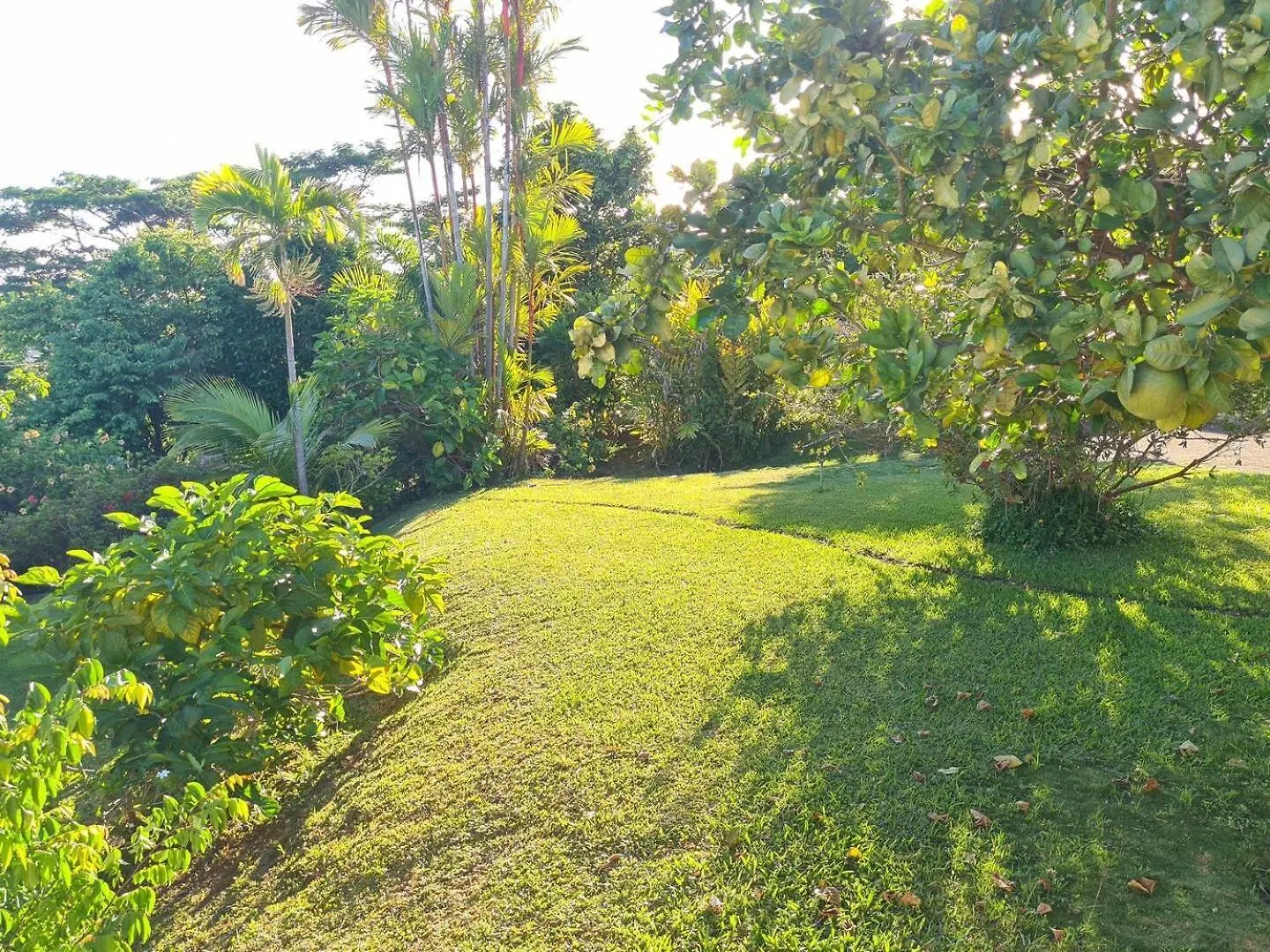 Mahina Villa Monoihere